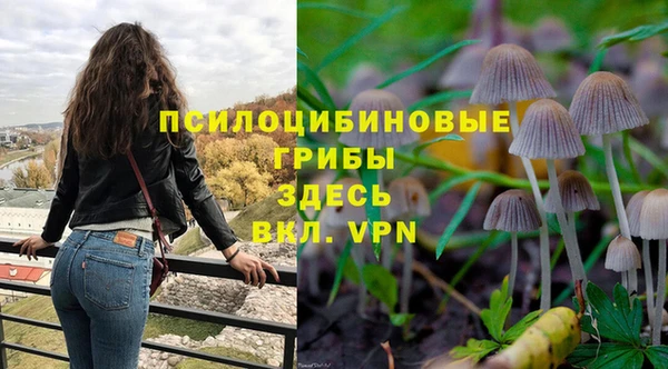 jwh Гусиноозёрск