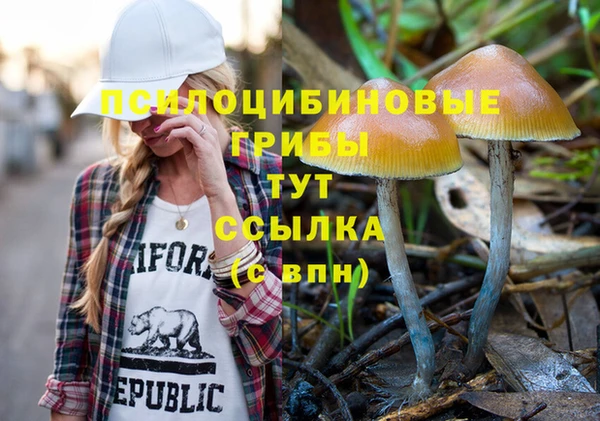 jwh Гусиноозёрск