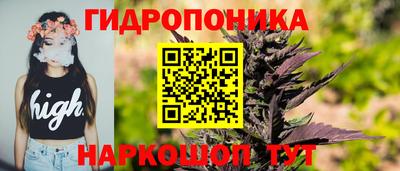 прущий лед Гусев