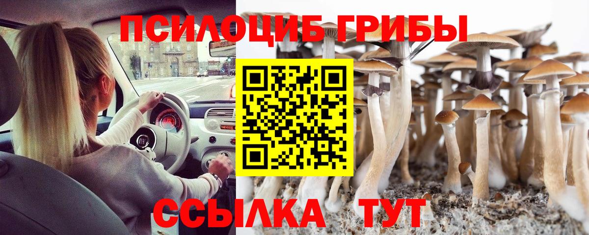 Псилоцибиновые грибы мицелий Гусев